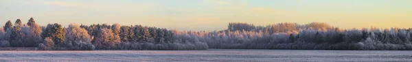 Malowniczy Widok Zimowy Pejzaż Zachodzie Słońca — Zdjęcie stockowe