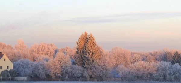 Schilderachtig Uitzicht Winterlandschap Bij Zonsondergang — Stockfoto