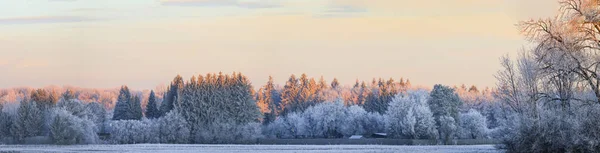 Vista Panorámica Del Paisaje Invernal Atardecer — Foto de Stock