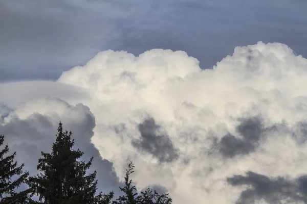 Lihat Pada Awan Putih Besar Dan Pohon — Stok Foto