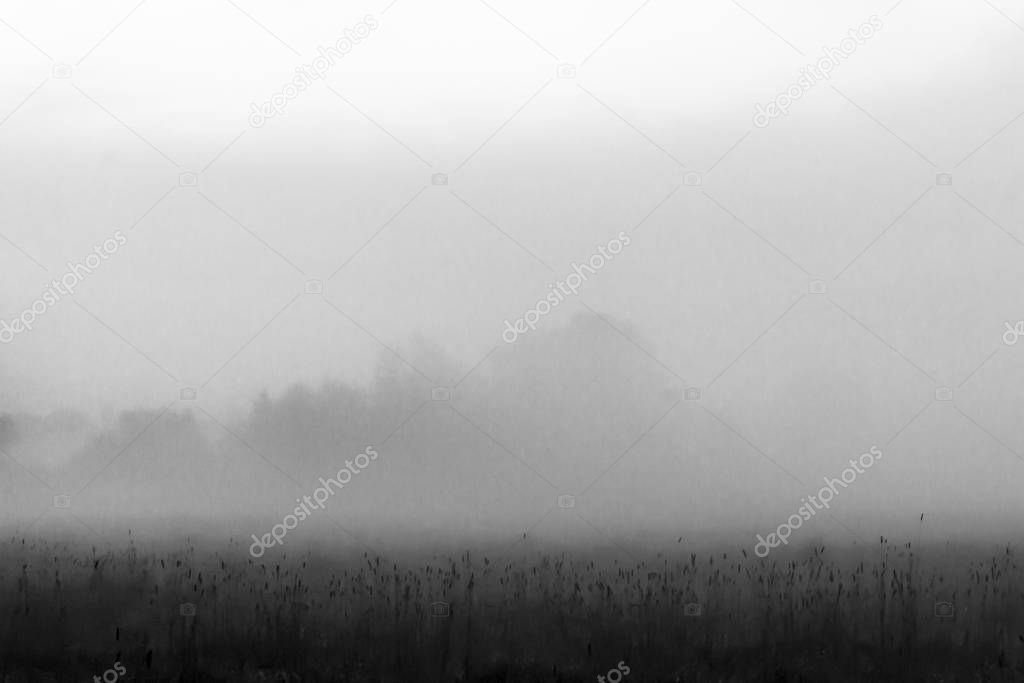 Scenic view of mist in summer field at dusk