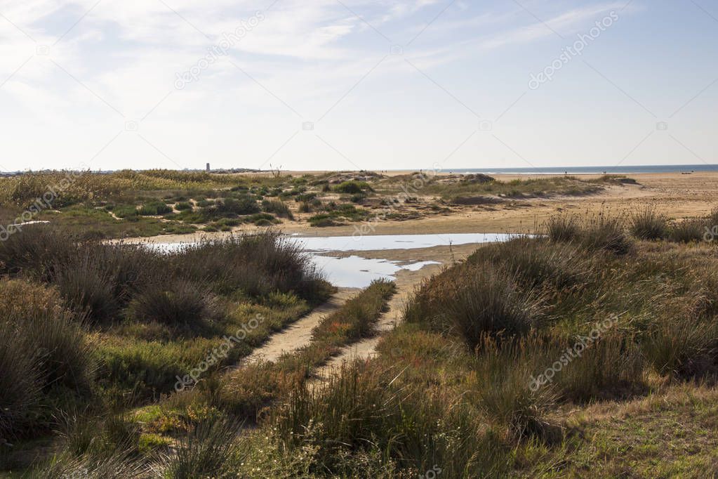 View from beach to Spanish city of Conil de la frontera in Andalucia