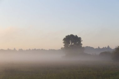 Doğal görünümünde alan sabah sis
