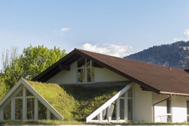 yeşil ev cephesi, seçici odak