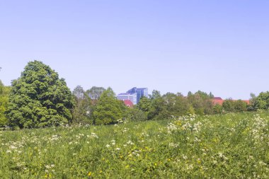 Görünümü parkta Schwabing, Münih ve binalar