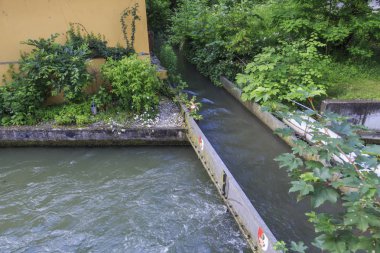 binalar ve ağaçlar yaz, seçici odak