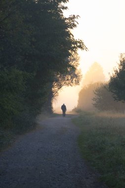 Puslu Park yolda yürüyen adam