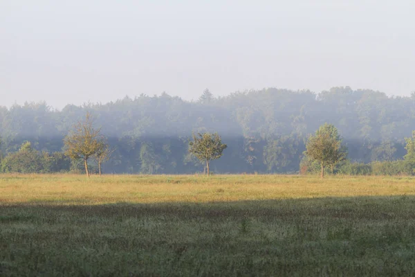 Malerischer Blick Auf Den Nebel Über Dem Grünen Feld — Stockfoto