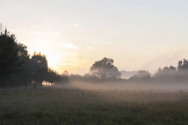 Malerischer Blick Auf Den Morgennebel Feld — Stockfoto