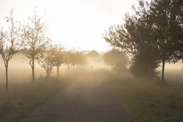 Vista Della Strada Sterrata Ambiente Rurale — Foto Stock