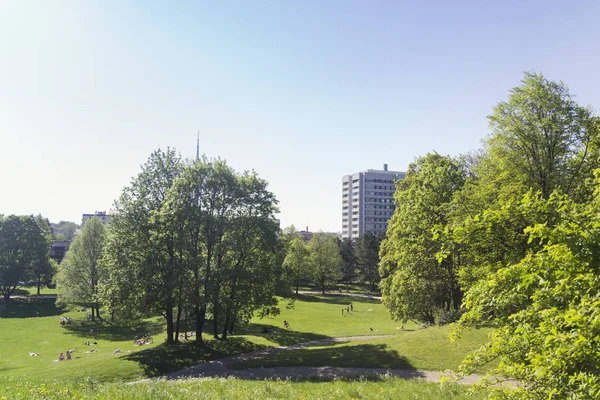 慕尼黑施瓦宾的建筑和公园景观 — 图库照片