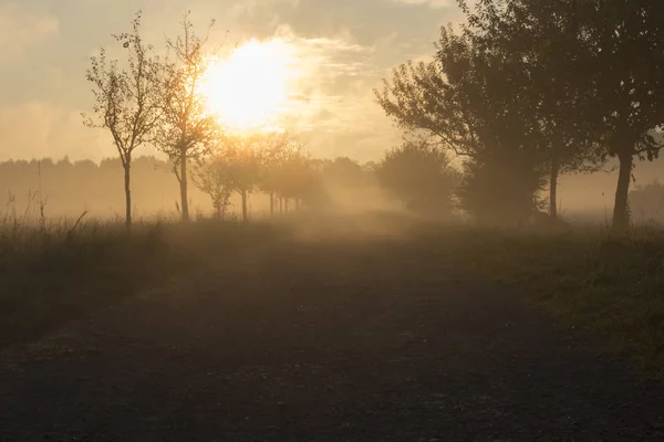 Vista Panoramica Della Nebbia Mattutina Campo — Foto Stock