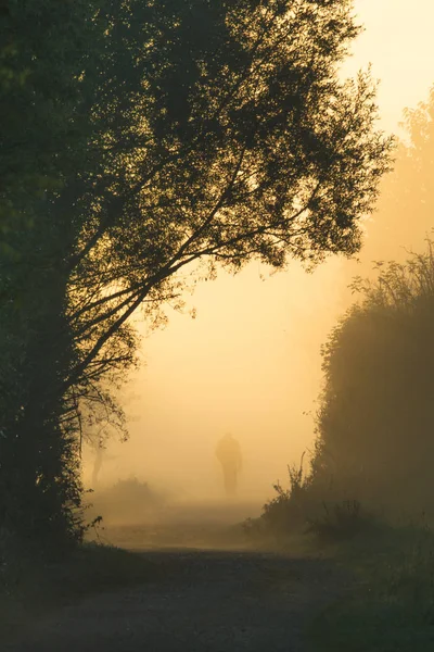 Чоловік Йде Дорозі Туманний Парк — стокове фото