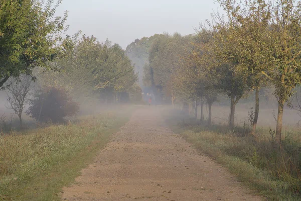 Blick Auf Den Morgennebel Über Dem Feld — Stockfoto