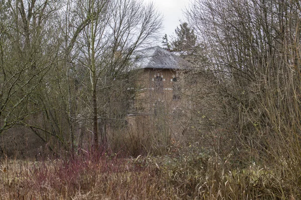 Altes Fabrikgebäude Einem Trüben Herbsttag Hinter Büschen — Stockfoto