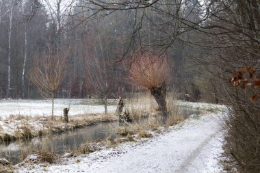 Orman yolu creek çit kuş yuvası ile önde gelen köprü ile yanındaki
