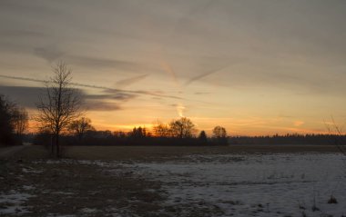 satır ağaçların arkasında kısmen karlı alanları üzerinde yükselen güneş