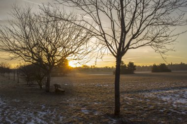 Sunrise çayır ağaçların arasında kalan tezgah