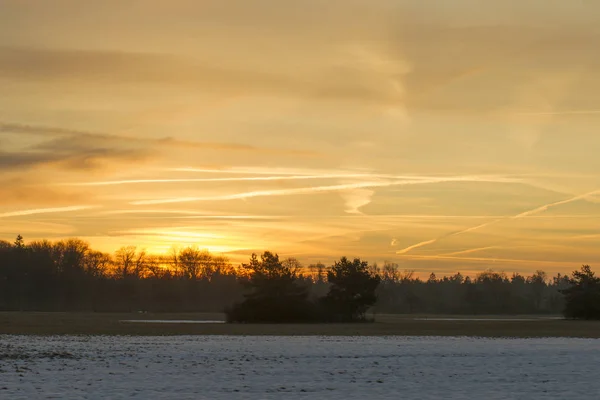 Сонце Сходить Над Частково Засніженими Полями Рядом Дерев — стокове фото