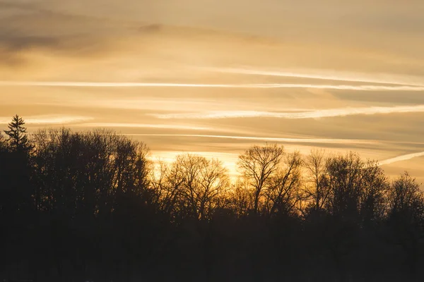 Солнце Встает Над Частично Снежными Полями Рядом Деревьев — стоковое фото