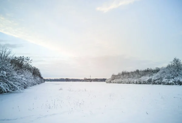 Scenic View Snowy Meadow Bushes — Stock Photo, Image