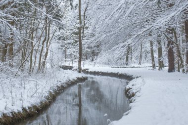Derin karlı orman yolu kışın bir akışı