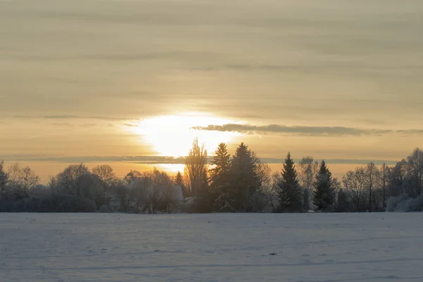 Zonsopgang Boven Boerderij Verbergen Grove Van Bomen Achter Besneeuwde Weide — Stockfoto