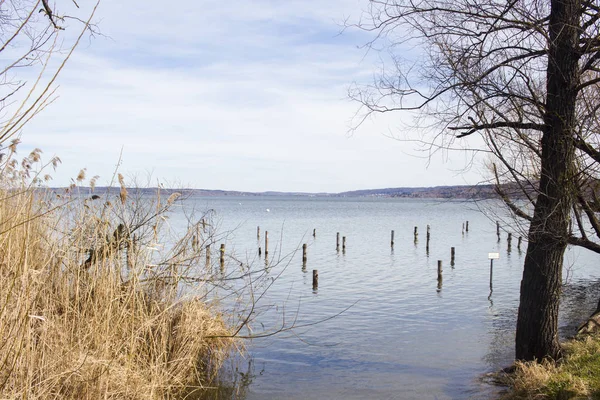 Vista Panorâmica Dos Juncos Ammersee Perto Munique — Fotografia de Stock