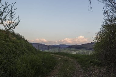 Yaz aylarında bağda gün batımı, seçici odak