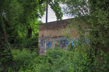 ağaçlarda bina, seçici odak