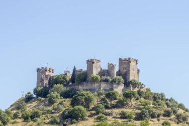 Ortaçağ Kalesi Almodovar del Rio görünümü