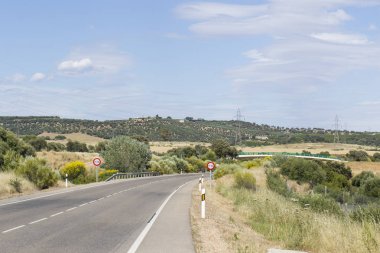 Cordoba yakınlarındaki Ispanya 'da tarımsal kırsal alanda yol