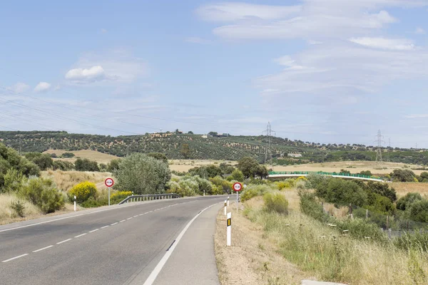 Cordoba yakınlarındaki Ispanya 'da tarımsal kırsal alanda yol