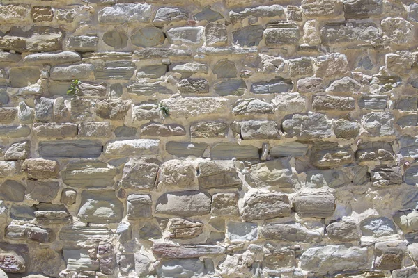 塔里法阿尔卡扎尔的历史石墙 — 图库照片