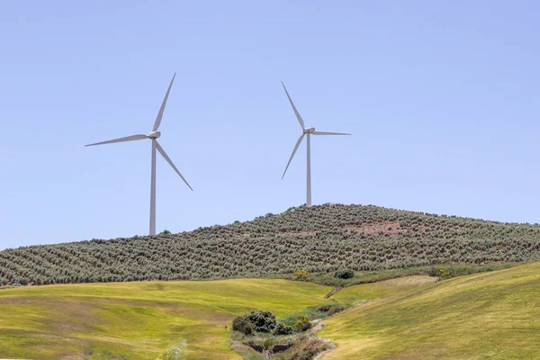 Wind Turbines Agricultural Landscape — 图库照片