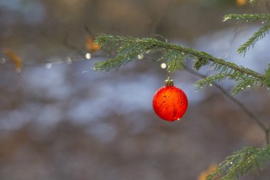 Noel balosu ladin dalında Şen şakrak arka planda