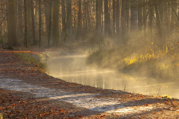 Mist Stijgen Zonnige Winterochtend Van Creek Bos Weg — Stockfoto