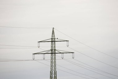 Elektrik hatları gökyüzüne karşı, seçici odaklanma
