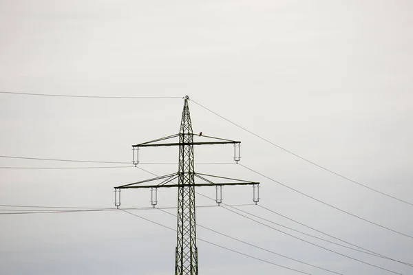 Linee Elettriche Contro Cielo Messa Fuoco Selettiva — Foto Stock