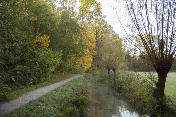 Malerischer Blick Auf Den Wald Herbst — Stockfoto