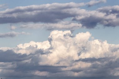 Cumulonimbus Bulutları ağaçların üzerinde gökyüzünde