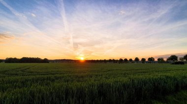 Bergheim yakınlarındaki tarla üzerinde gün batımı