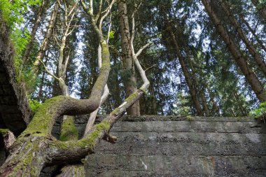 Eski bir mühimmat fabrikasında çöküntü.
