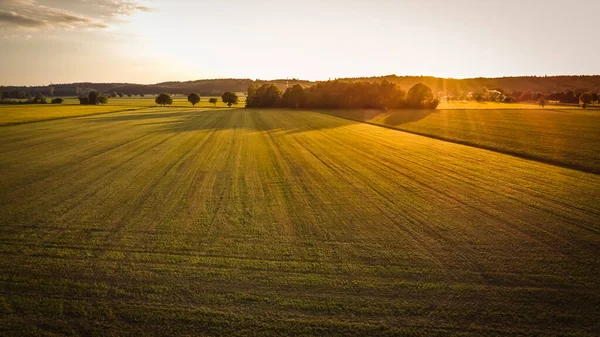 View from above over agricultural fields and a field path near Bergheim