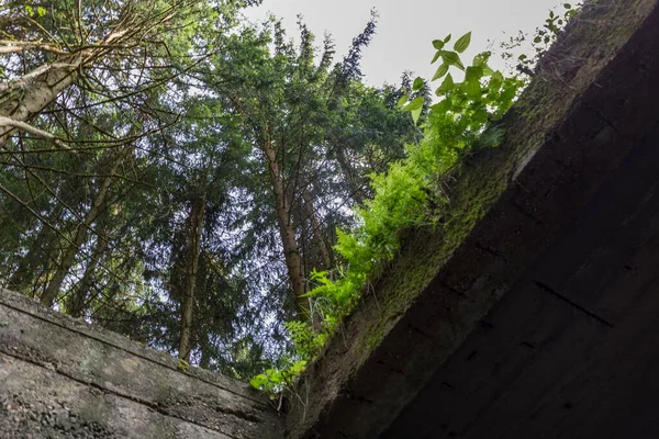 Eski bir mühimmat fabrikasında çöküntü.