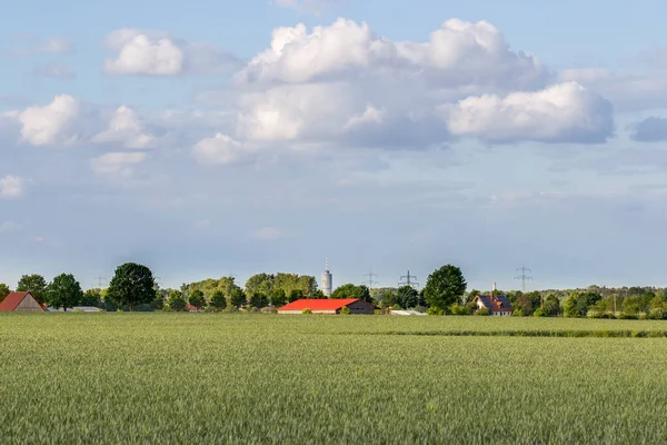 Vista Sobre Campos Trigo Perto Bergheim Direção Augsburg Com Torre Imagens Royalty-Free