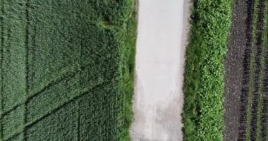 Alp eteklerindeki tarım arazilerinin üzerinden uçmak