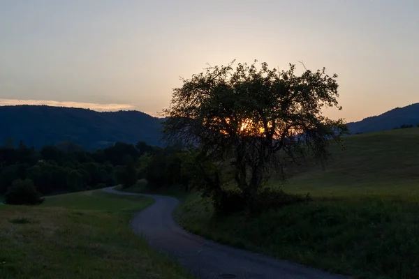 Uma Pequena Estrada Rural Entre Prados Floresta Negra Pôr Sol — Fotografia de Stock