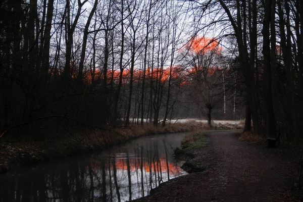 Sunrise Creek Woods — Stock Photo, Image