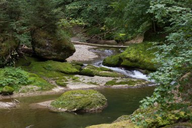Allgu Eistobel 'deki ağaçların arasındaki vadide bir dağ deresi. 